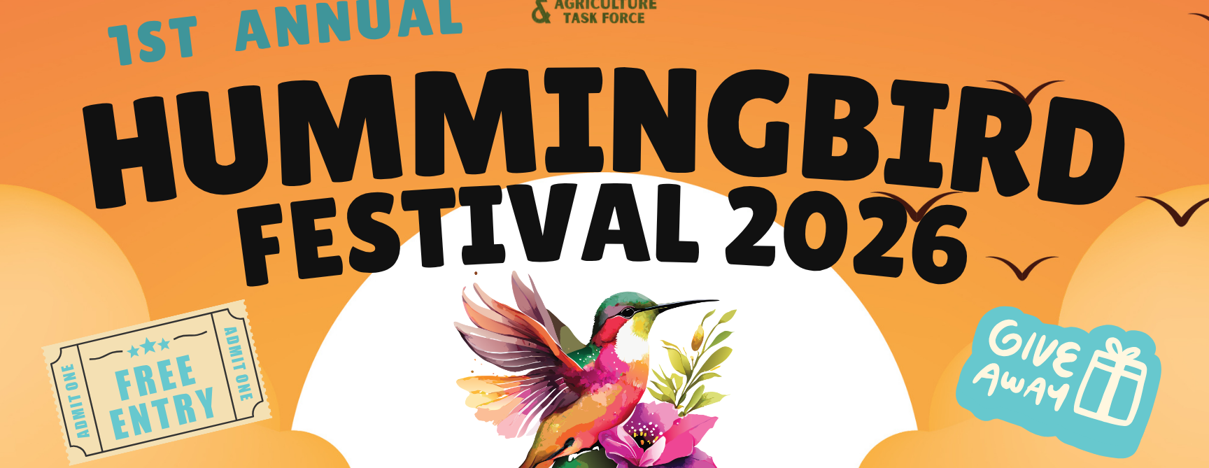 First Annual Hummingbird Festival